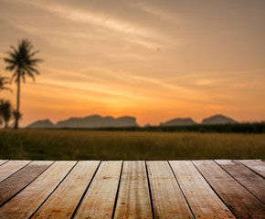 Fototapeta na wymiar Blurred landscape with wood terrace 