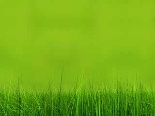 Fototapeta na wymiar Conceptual green 3d grass field or lawn on green background