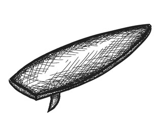 doodle surf board