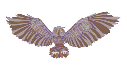 Graphic illustration of flying owl. Brown