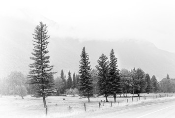 Obraz premium fog in the mountain tops day Altai valey