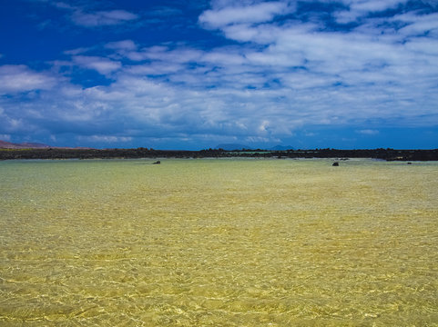 Fototapeta Green water in a quiet bay near the ocean. Coast of black volcanic rock. Glare on the water. Waves from the breeze. Light wind. Blue sky with white clouds. Orzola, Lanzarote, Canary Islands