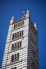 Siena Cathedral in Tuscany, Italy