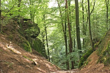 Abstieg zur Elfengrotte bei Eisenach