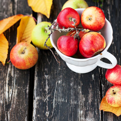 Still Life with Apples