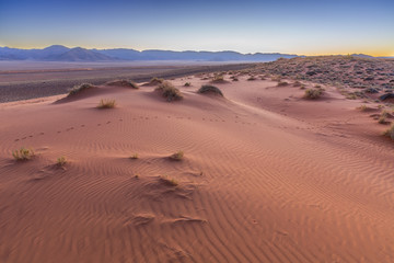 Fototapeta na wymiar Wind Patterns in the sand