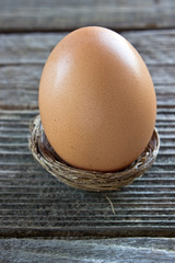 Egg in nest on wooden background