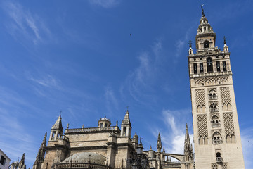 Fototapeta na wymiar Sevilla monumental , la catedral hispalense