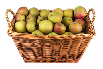 Basket of apples on stock