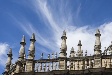Fototapeta na wymiar detalles de la santa iglesia catedral de Sevilla