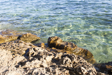 Sea in the summer