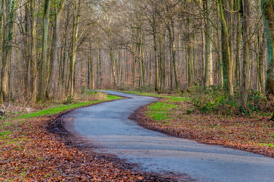 Waldstrasse