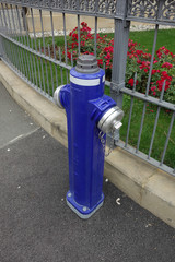 Fototapeta na wymiar Blauer Hydrant