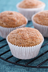 Apple sauce muffins with spices