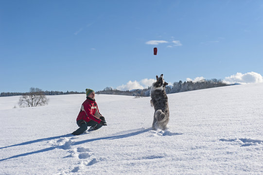 Spiel und Spass beim Hundespaziergang im Schnee