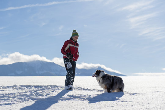 Spiel und Spass beim Hundespaziergang im Schnee