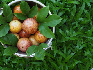 Fresh passion fruit from garden are contained in a container