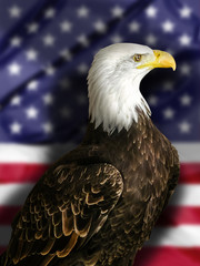 Bald Eagle with Flag