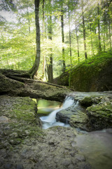 Fototapeta premium Scheidegger Wasserfall