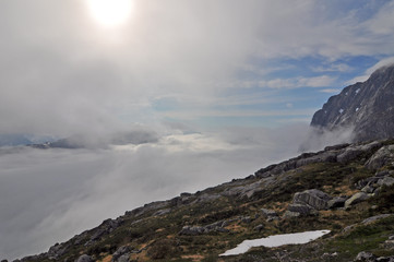 Norwegian nature / There are mountains plunging into the sea from hundreds of metres, fjords, tall...