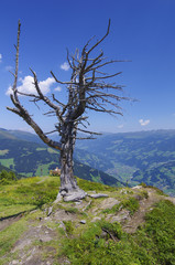 Blick vom Penkenjoch ins Zillertal