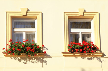 Fototapeta na wymiar windows and flower boxes, Prague