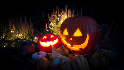 Herbst Halloween Kürbislaterne Kürbisse Lichter Nacht Erntedank Hintergrund