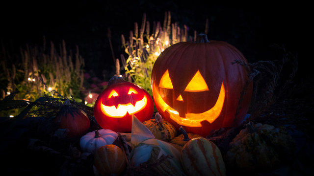 Herbst Halloween Kürbislaterne Kürbisse Lichter Nacht Erntedank Hintergrund