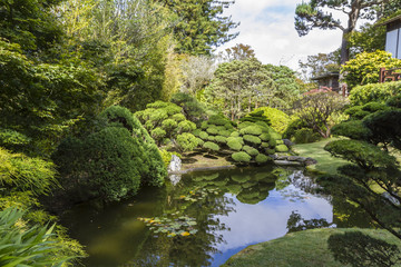 Japanese tea garden