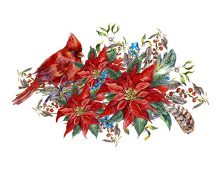 Christmas greeting card with poinsettia and bird red cardinal