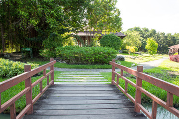 Fototapeta na wymiar Wooden bridge in a Park
