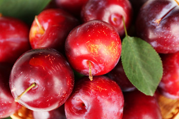 Ripe plums with green leaf, closeup