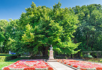 Eminescu's Linden Tree in the Copou Public Garden, Iasi