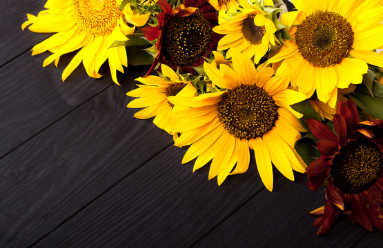Sunflowers on a black wooden background