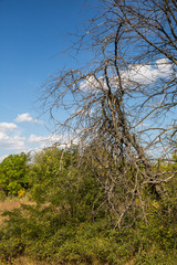 Obraz premium Aktovsky canyon