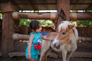 Little girl with pony in farm