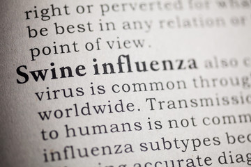 Swine influenza