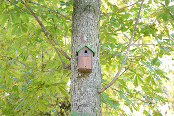 Tree house for birds
