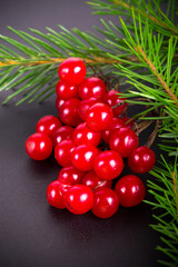 Bright red juicy berries of viburnum and green fresh branch of C