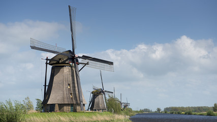 mulino