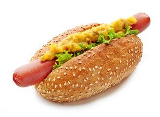 Hot dog on white background