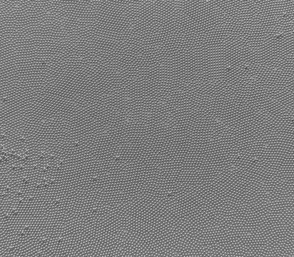 Layer of leaden