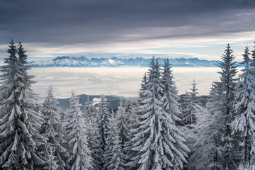 Surowy zimowy górski widok, Tatry