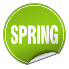 spring round green sticker isolated on white