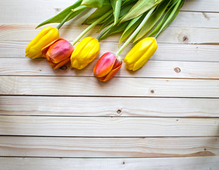Yellow and orange tulips