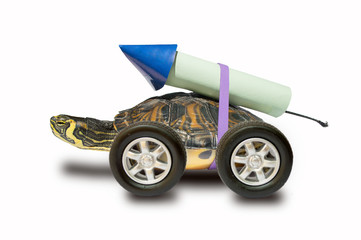 Naklejka premium fast turtle