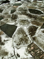 公園のグラフィカルな石畳