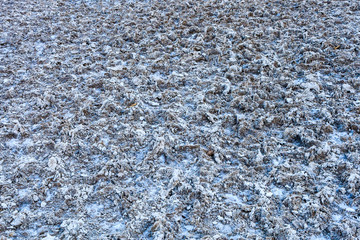 Badwater Basin, Death Valley National Park, California, USA