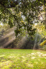 Obraz premium Lindenpark