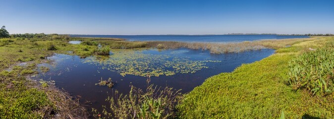 Fototapeta na wymiar Wetlands in Nature Reserve Esteros del Ibera, Argentina